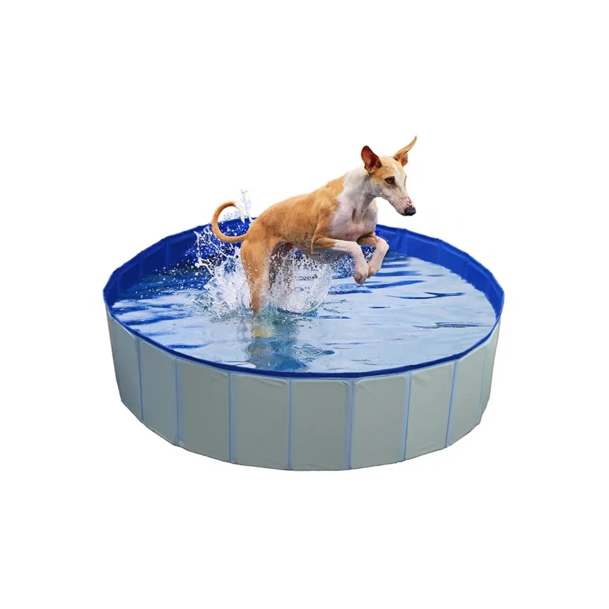 Piscina para cães em PVC - Ø 120x30cm